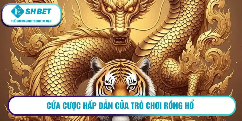 Cửa cược hấp dẫn của trò chơi Rồng Hổ