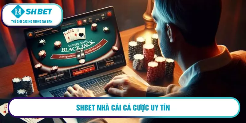 Shbet nhà cái cá cược uy tín