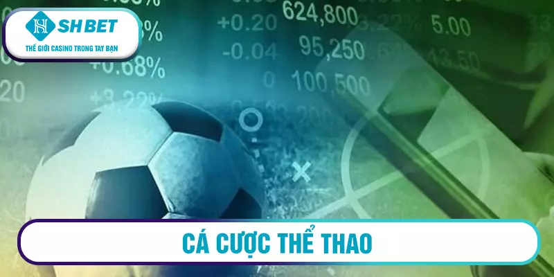 Cá Cược Thể Thao